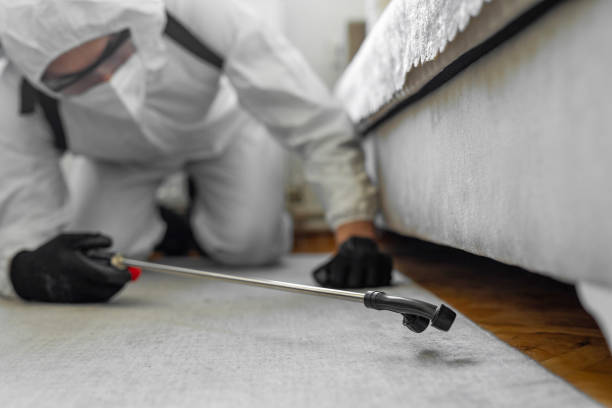 Professional Bed Bug Control technician working in Nampa, ID