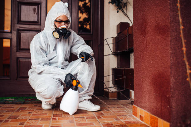 Reliable Bed Bug Control contractor in Nampa, ID by Nex Pest Control