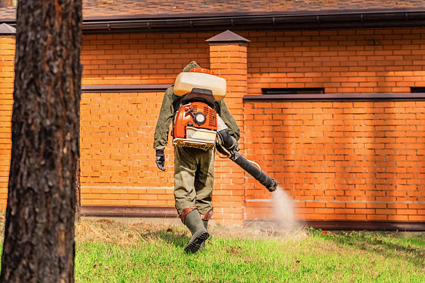 Trusted Mosquito Control service in Nampa, ID - Nex Pest Control